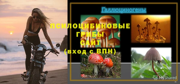 спайс Протвино