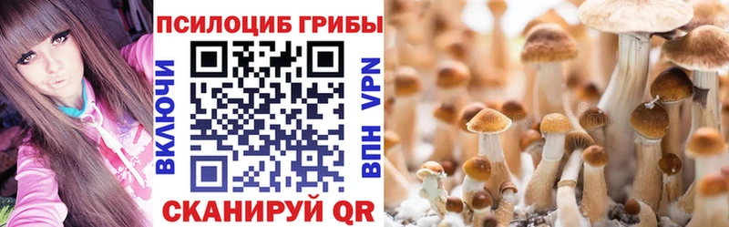 Псилоцибиновые грибы Magic Shrooms  где купить наркоту  Курганинск 