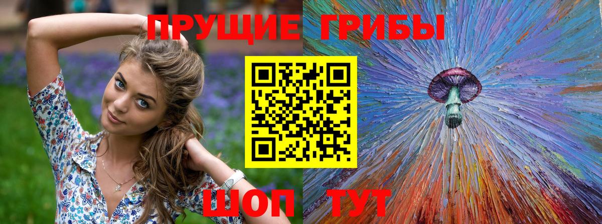 Псилоцибиновые грибы прущие грибы Курганинск
