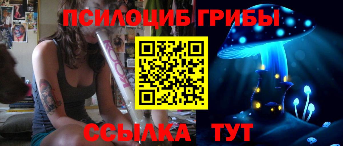 Псилоцибиновые грибы Psilocybe  купить   Курганинск  Вход с VPN 